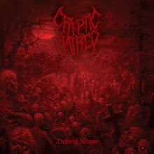 Load image into Gallery viewer, Cryptic Hatred "Nocturnal Sickness" LP