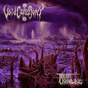 Voidceremony "Threads Of Unknowing" Cloudy Purple LP