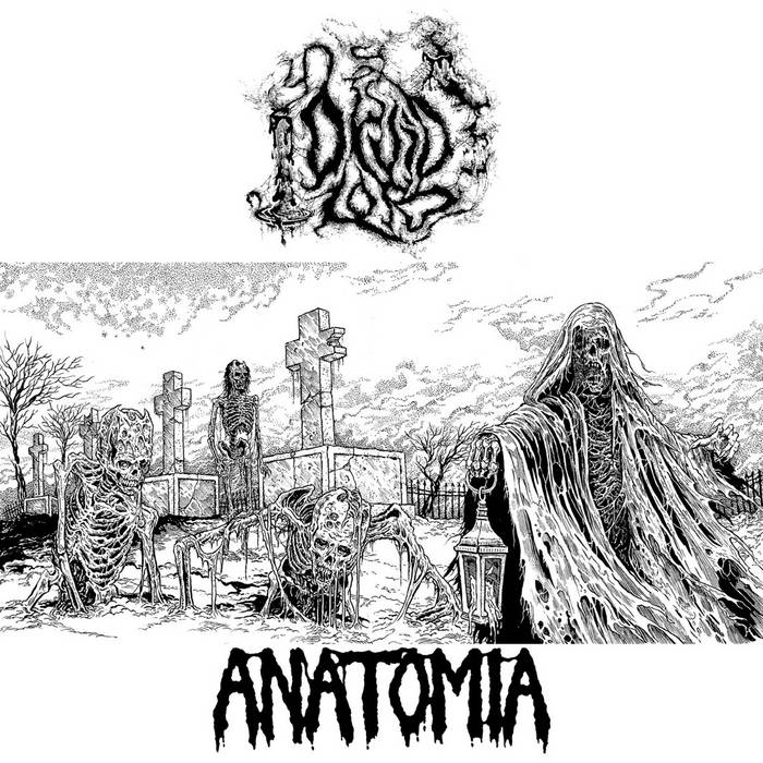 Druid Lord/Anatomia Split Tape